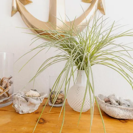 Apartment Admiralskoje Direkt Am Hafen *